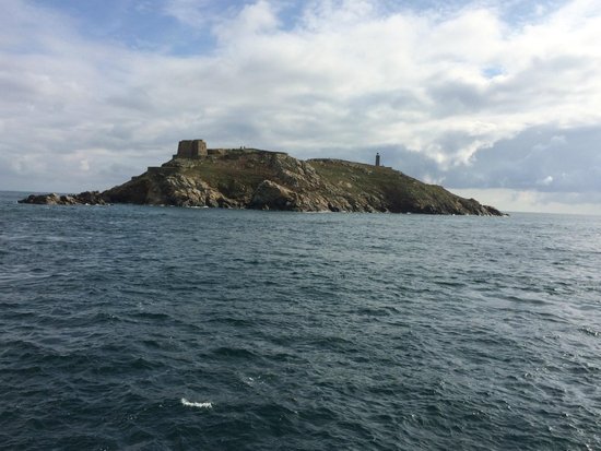 Ile Plate View